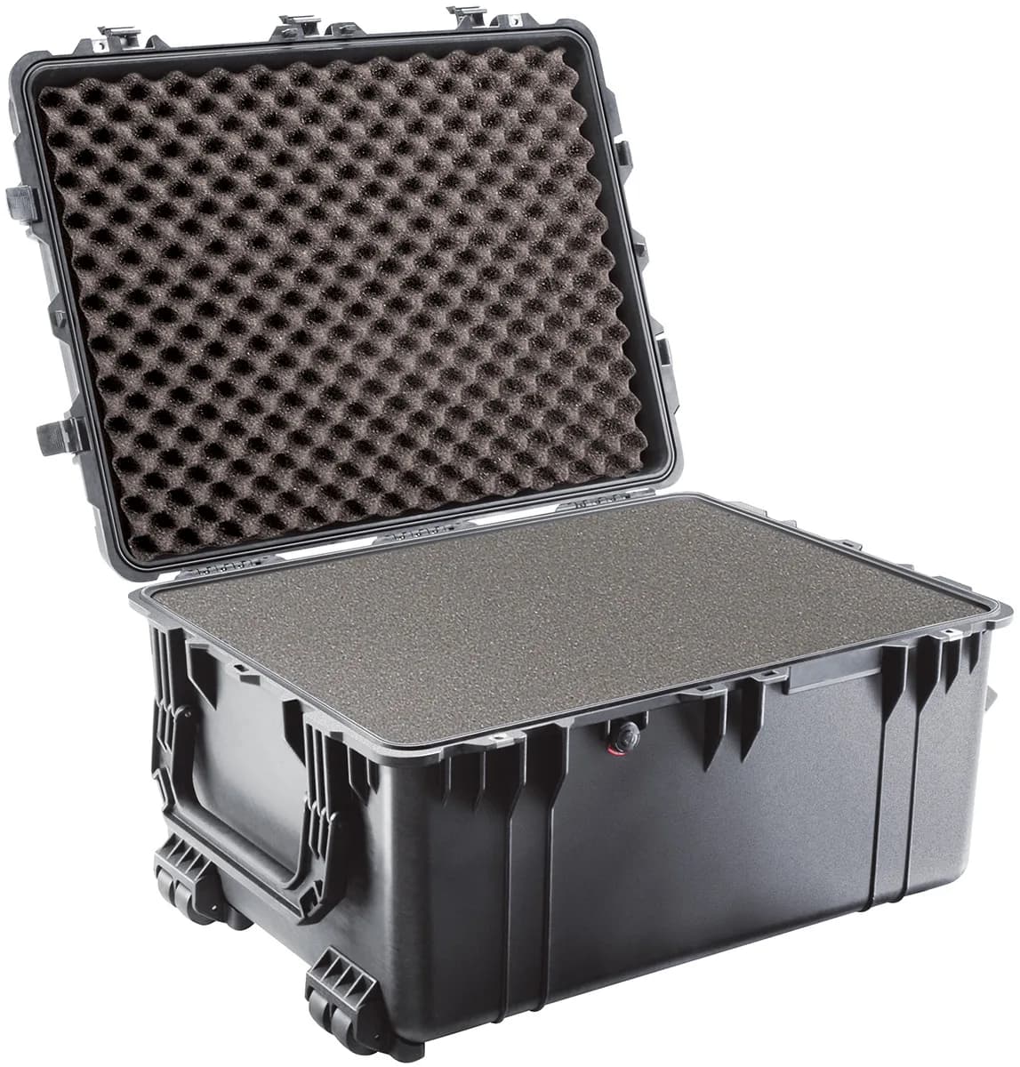 Pelican 1630 Protector case