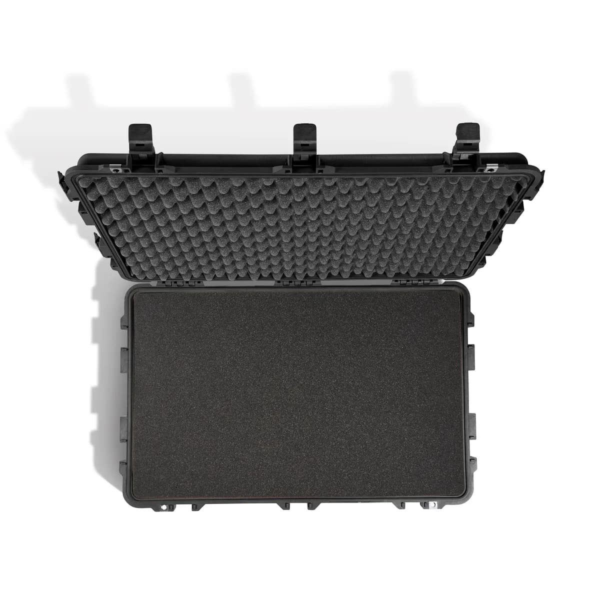 Pelican 1650 Protector case